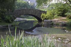 aerial view of Central Park in New York City