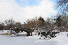 Central Park New York City after January 2016 blizzard