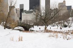 Central Park after January 2016 United States blizzard