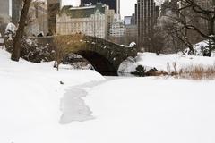 Central Park New York City January 2016 United States blizzard