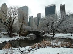 Christmas at Central Park in winter