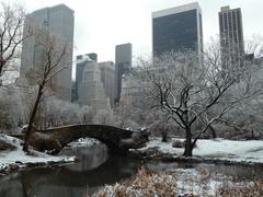 Christmas at Central Park with holiday lights and decorations