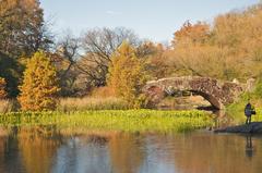 Gapstow Arch in Central Park, NYC, looking north