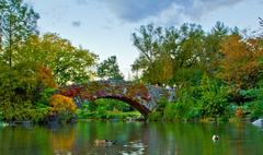 Gapstow Bridge in Central Park during autumn