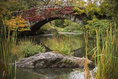 Gapstow Bridge in Central Park