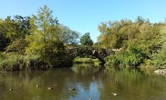 Central Park pond with Gapstow Bridge in autumn