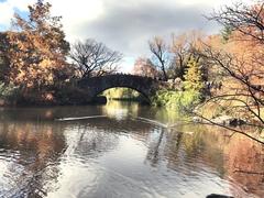 Gapstow Bridge in Central Park on a clear day