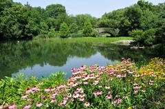 Lake in Lower Central Park, July 2008