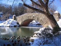 Snow-covered bridge in Central Park, New York City