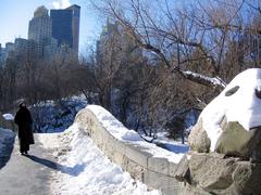 snow-covered bridge in Central Park, New York