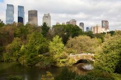 Sunlit Gapstow Bridge in Central Park