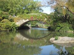 The pond in Central Park, New York