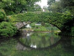 Bridge in Central Park