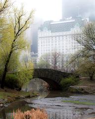 Central Park with lush greenery and city skyline in the background