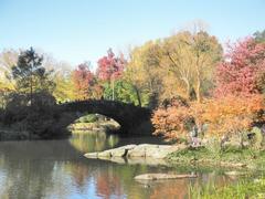 Blooming trees and green lawn in Central Park with Manhattan skyline in the background