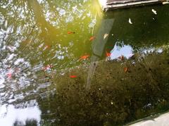 Garden of Dreams in Thamel, Kathmandu