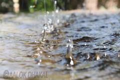 Close-up of a single drop of water on the surface of a leaf