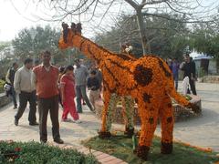 Flower Camel at Flower Show 2011