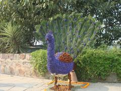 Flower Peacock exhibited on Flower Show 2011