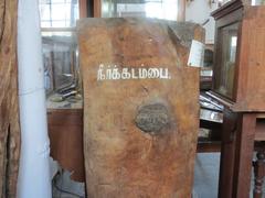 Seasoned neer kadambai tree at Gass Forest Museum