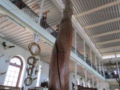 Seasoned sandalwood tree trunk at Gass Forest Museum