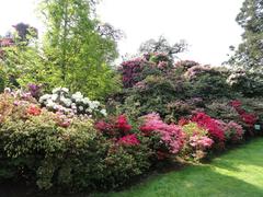 Botanical garden on Isola Madre in Stresa, Lake Maggiore, Italy