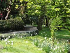 botanical garden on Isola Madre in Stresa, Lake Maggiore, Italy