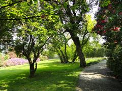 botanical garden on Isola Madre, Lake Maggiore