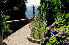 A path with Hydrangea flowers at Isola Madre Botanical Garden