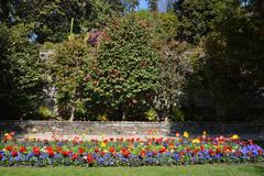 Jardin Botanique De L'Isola Madre