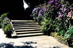 Staircase and Hydrangea at Isola Madre Botanical Garden