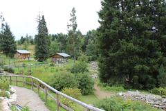 Botanischer Alpengarten Viote landscape