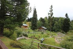 Botanischer Alpengarten Viote