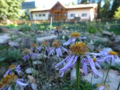 Giardino Botanico Alpino Viote with view of Rifugio Viote