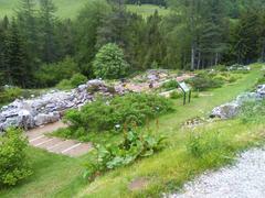 Giardino Botanico Alpino Viote on a sunny day