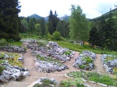 Giardino Botanico Alpino Viote on a sunny day