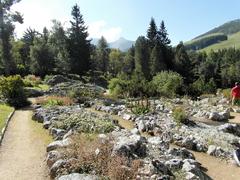 alpine botanical garden Viote