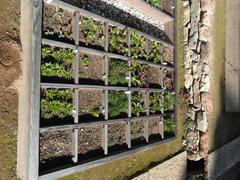 Alpine botanical garden Viote with imported plants