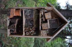 Insect hotel in Alpengarten Viote 2017