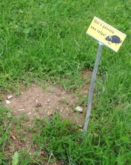 molehill in a botanical alpine garden