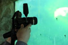 view of a lake through a window with a person taking a photo of tadpoles at Alpine Botanical Garden Viote