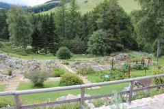 Botanical Alpine Garden Viote