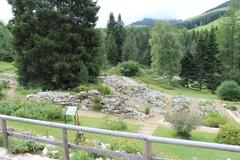 Botanical Alpine Garden Viote landscape with mountain backdrop