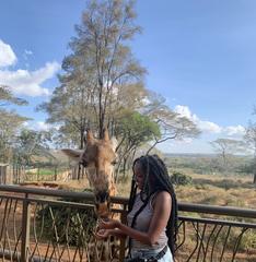 Betty the giraffe with a happy tourist at Giraffe Center Nairobi