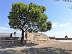 Castle of Castelmola northeast view