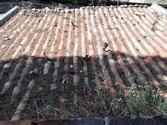 Castello di Mola with a roof covered by prickly pear paddles