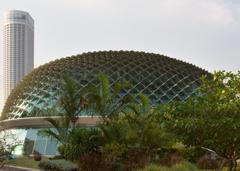 Esplanade Singapore at night with city skyline