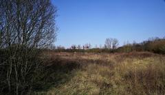 Salburua wetlands park with storks and other birds