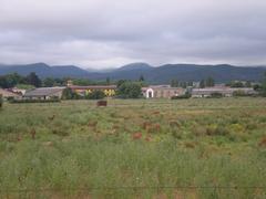 Deer group in the eastern part of Salburua Park viewed from the north with buildings of Arkauti in the background