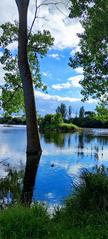 photograph of Salburua wetlands with still water reflecting the sky and trees